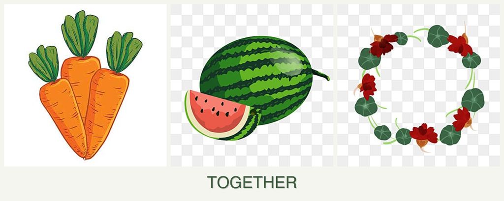 Can you plant carrots, melons and nasturtiums together?