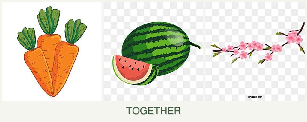 Can you plant carrots, melons and peaches together?