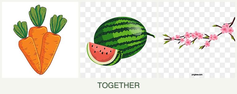 Can you plant carrots, melons and peaches together?