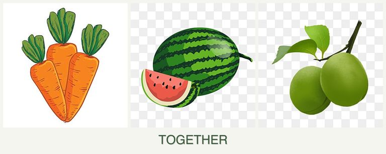 Can you plant carrots, melons and plums together?