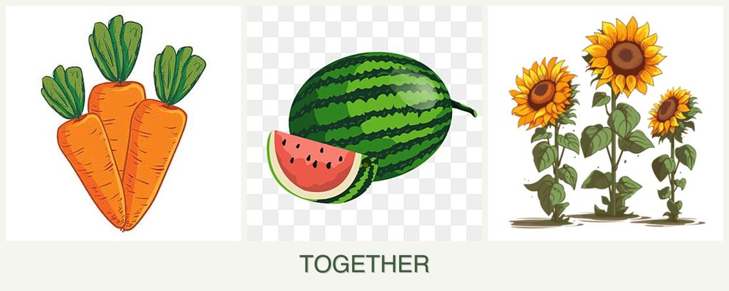 Can you plant carrots, melons and sunflowers together?