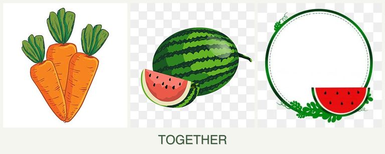 Can you plant carrots, melons and watermelons together?