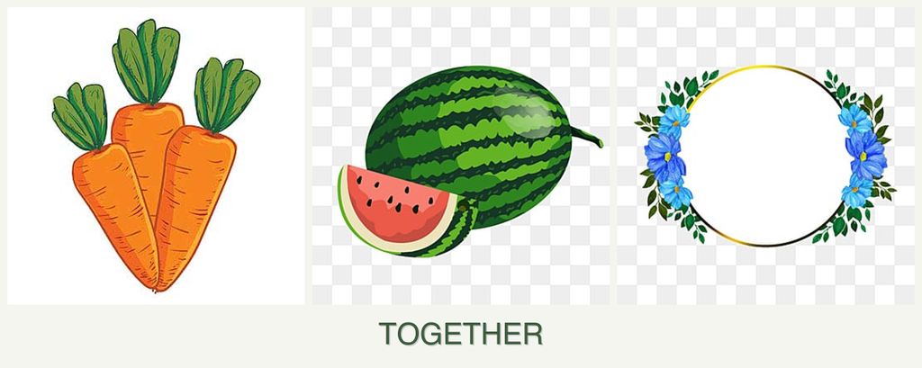 Can you plant carrots, melons and zinnias together?