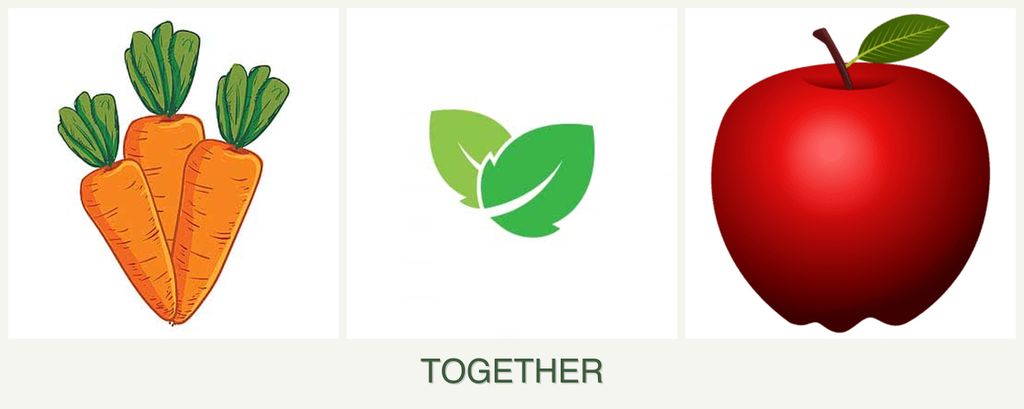 Can you plant carrots, mint and apples together?