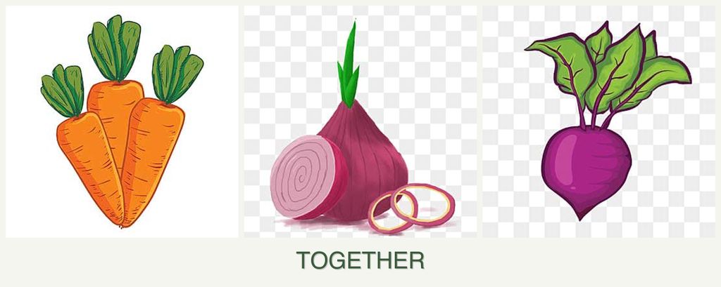 Can you plant carrots, onions and beets together?