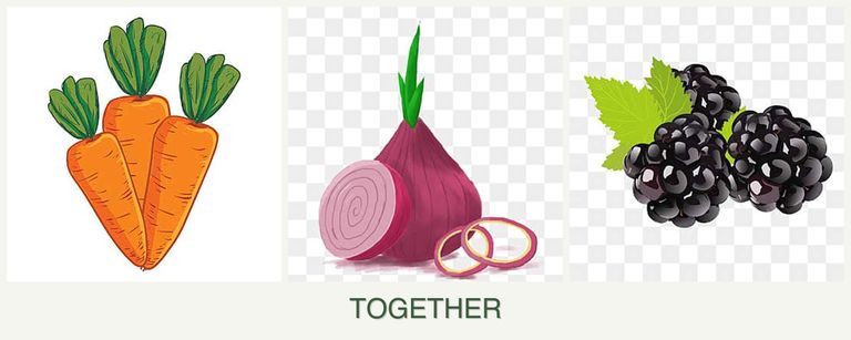 Can you plant carrots, onions and blackberries together?