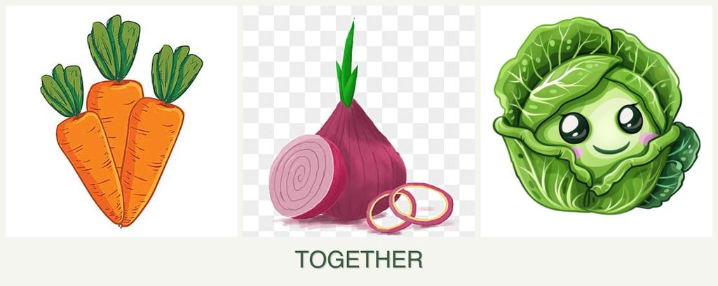 Can you plant carrots, onions and cabbage together?