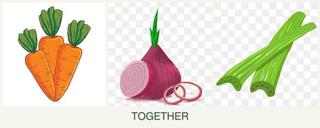 Can you plant carrots, onions and celery together?