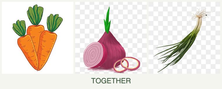 Can you plant carrots, onions and chives together?