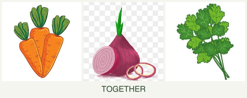 Can you plant carrots, onions and cilantro together?