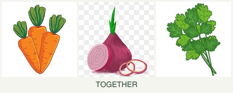 Can you plant carrots, onions and cilantro together?