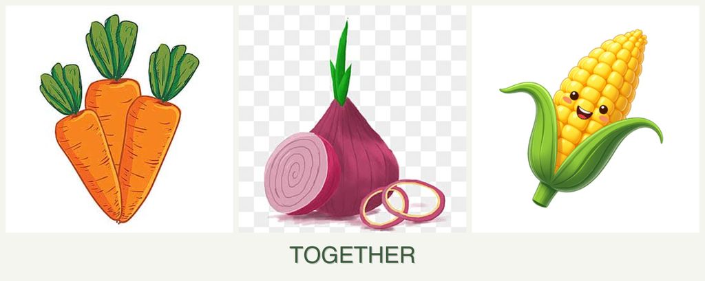 Can you plant carrots, onions and corn together?