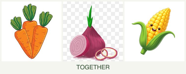 Can you plant carrots, onions and corn together?