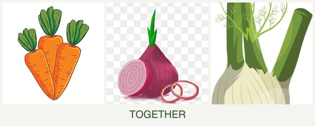 Can you plant carrots, onions and fennel together?