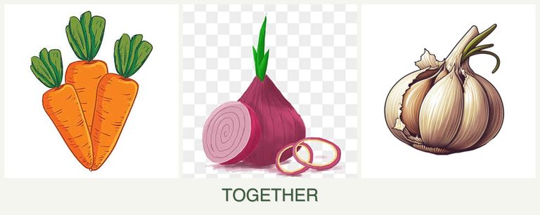 Can you plant carrots, onions and garlic together?