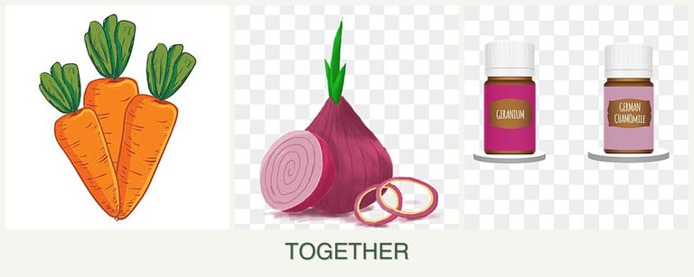 Can you plant carrots, onions and geraniums together?