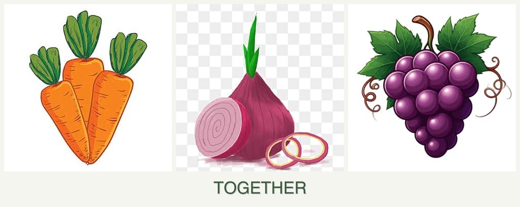 Can you plant carrots, onions and grapes together?