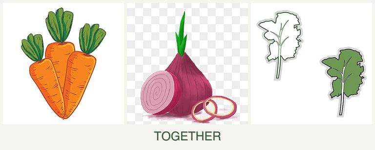 Can you plant carrots, onions and kale together?