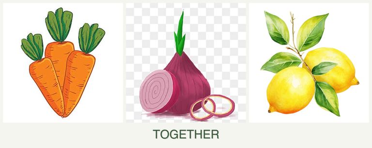 Can you plant carrots, onions and lemons together?
