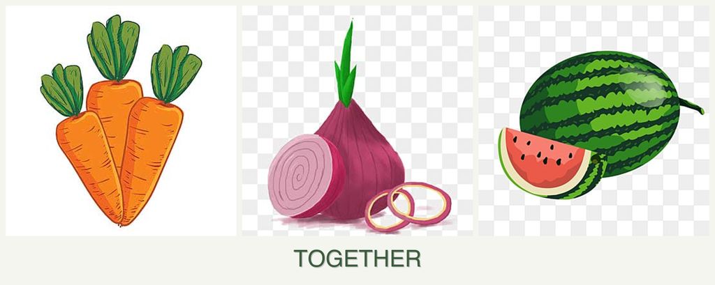 Can you plant carrots, onions and melons together?