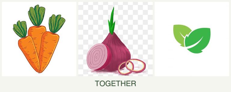 Can you plant carrots, onions and mint together?