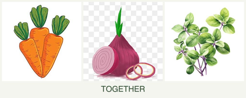 Can you plant carrots, onions and oregano together?