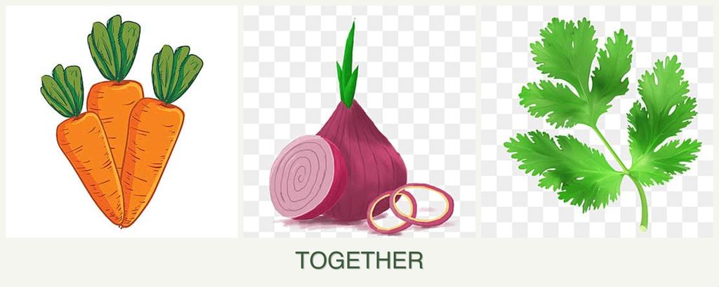 Can you plant carrots, onions and parsley together?