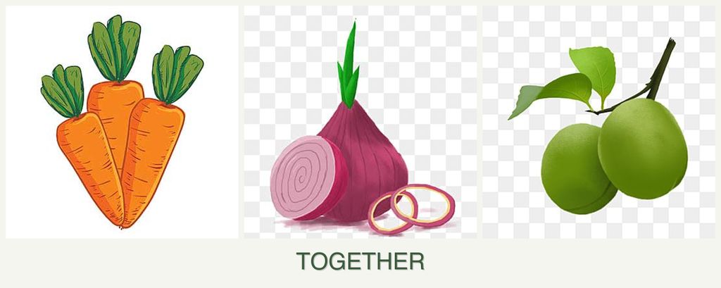 Can you plant carrots, onions and plums together?