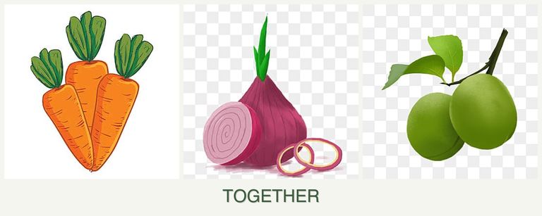 Can you plant carrots, onions and plums together?