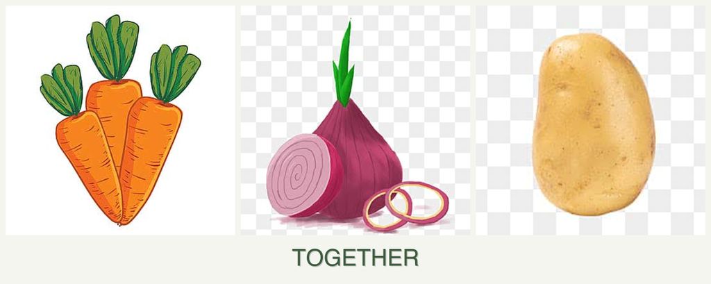 Can you plant carrots, onions and potatoes together?