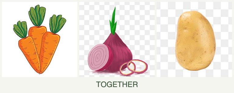 Can you plant carrots, onions and potatoes together?
