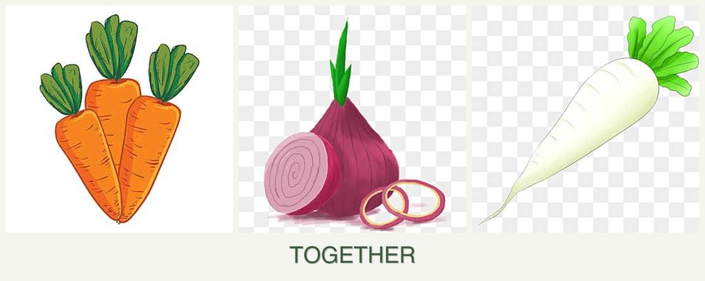 Can you plant carrots, onions and radishes together?