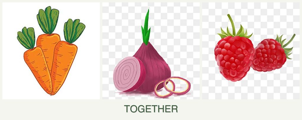 Can you plant carrots, onions and raspberries together?