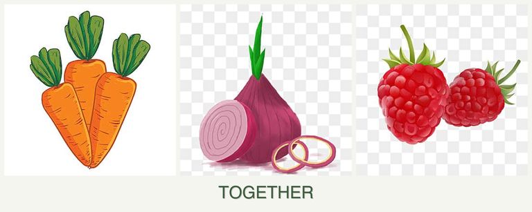 Can you plant carrots, onions and raspberries together?