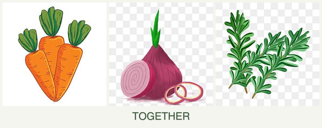 Can you plant carrots, onions and rosemary together?
