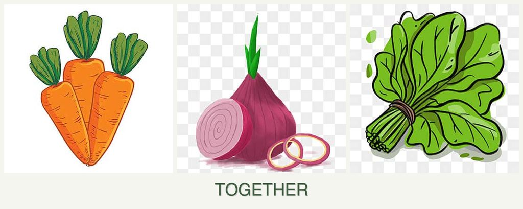 Can you plant carrots, onions and spinach together?