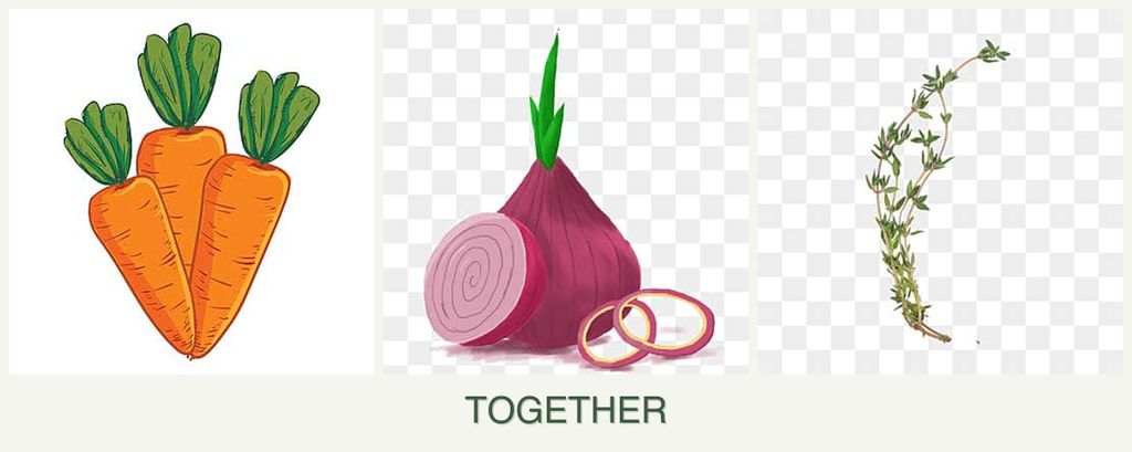 Can you plant carrots, onions and thyme together?