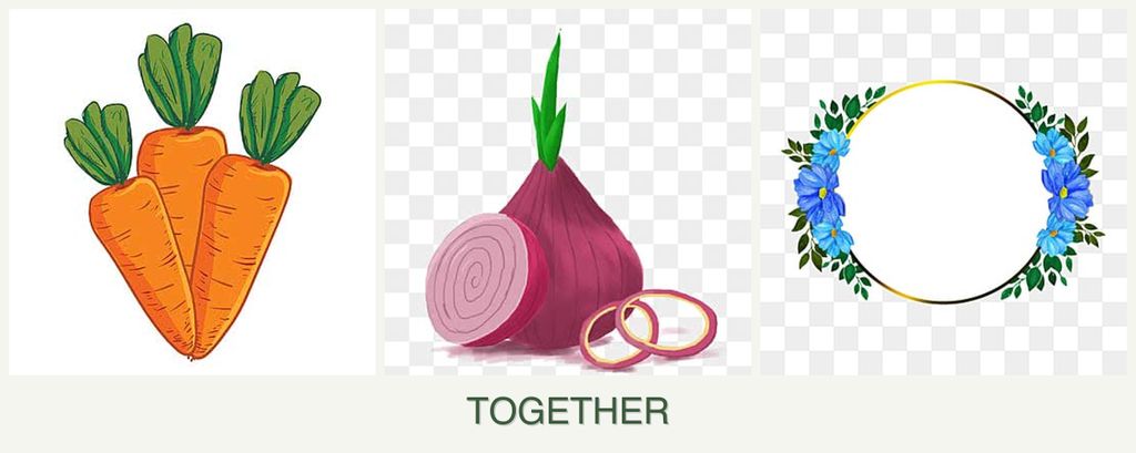Can you plant carrots, onions and zinnias together?