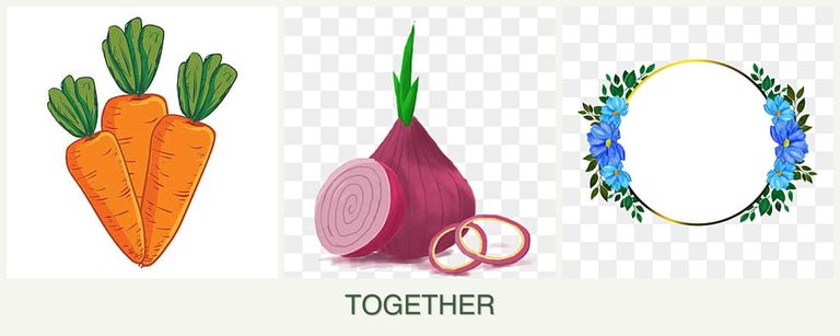 Can you plant carrots, onions and zinnias together?