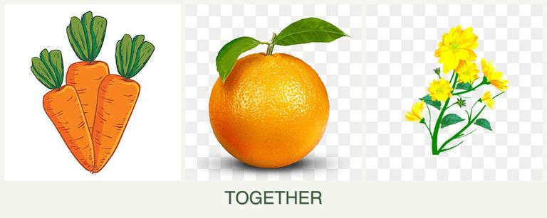 Can you plant carrots, oranges and calendula together?
