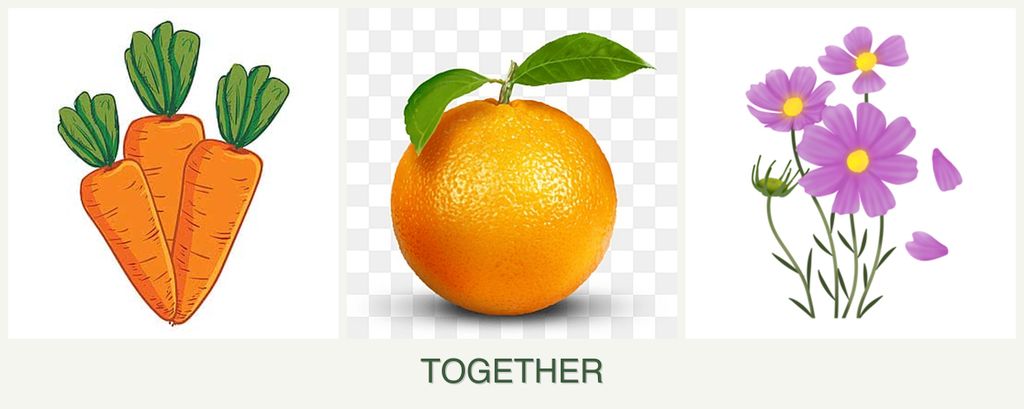 Can you plant carrots, oranges and cosmos together?