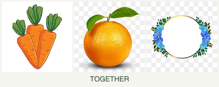 Can you plant carrots, oranges and zinnias together?