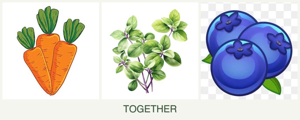 Can you plant carrots, oregano and blueberries together?