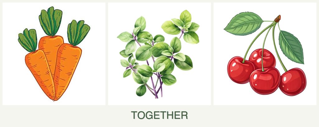 Can you plant carrots, oregano and cherries together?