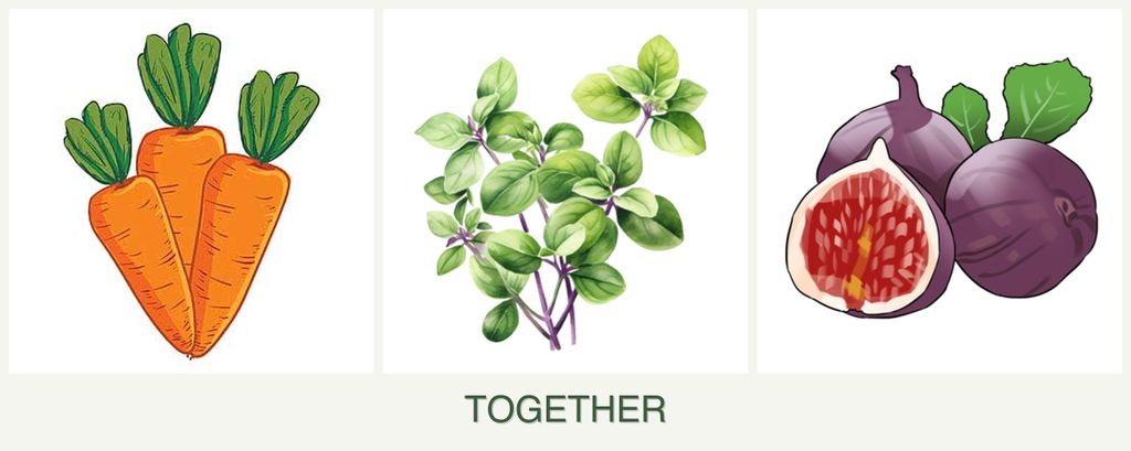 Can you plant carrots, oregano and figs together?