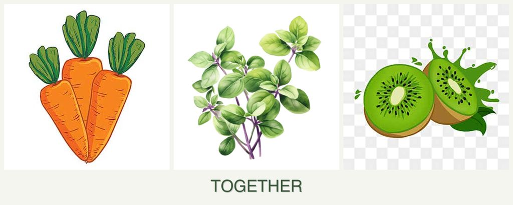 Can you plant carrots, oregano and kiwi together?