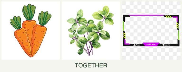 Can you plant carrots, oregano and limes together?