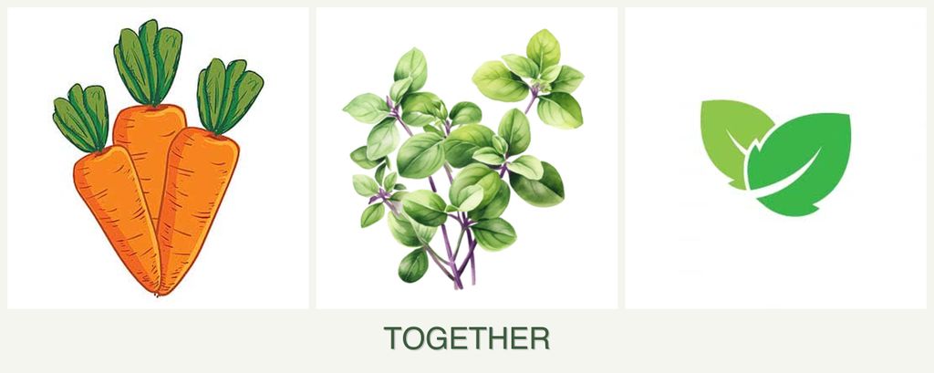 Can you plant carrots, oregano and mint together?