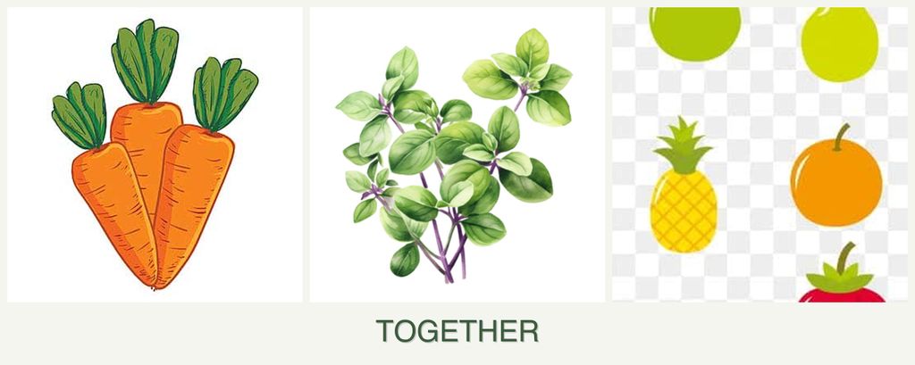 Can you plant carrots, oregano and pears together?
