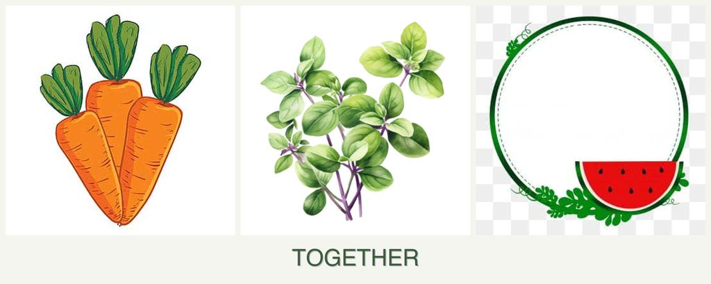 Can you plant carrots, oregano and watermelons together?